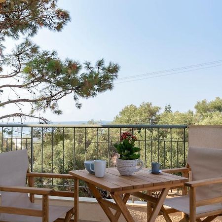 ניאה מודאניה Alexandros Maisonettes & Apartments מראה חיצוני תמונה