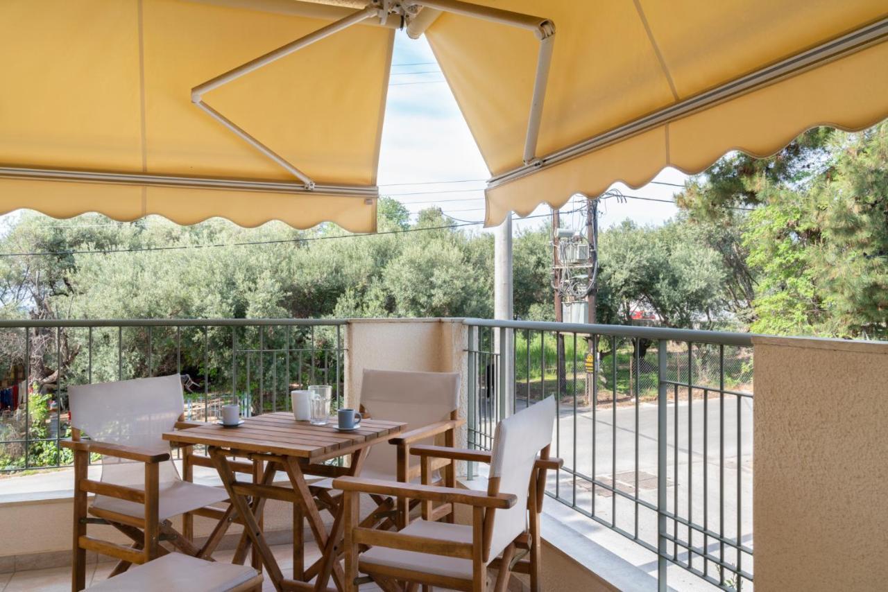ניאה מודאניה Alexandros Maisonettes & Apartments מראה חיצוני תמונה